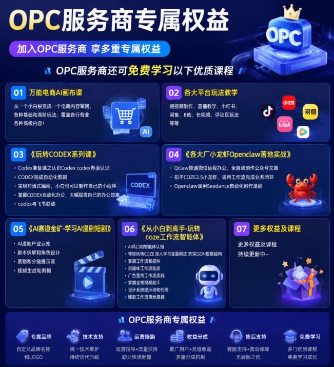 【首发】OPC一人公司项目,单日500 ,手机电脑不限制,打造属于自己的品牌画布AI产品,收费陪跑【揭秘】